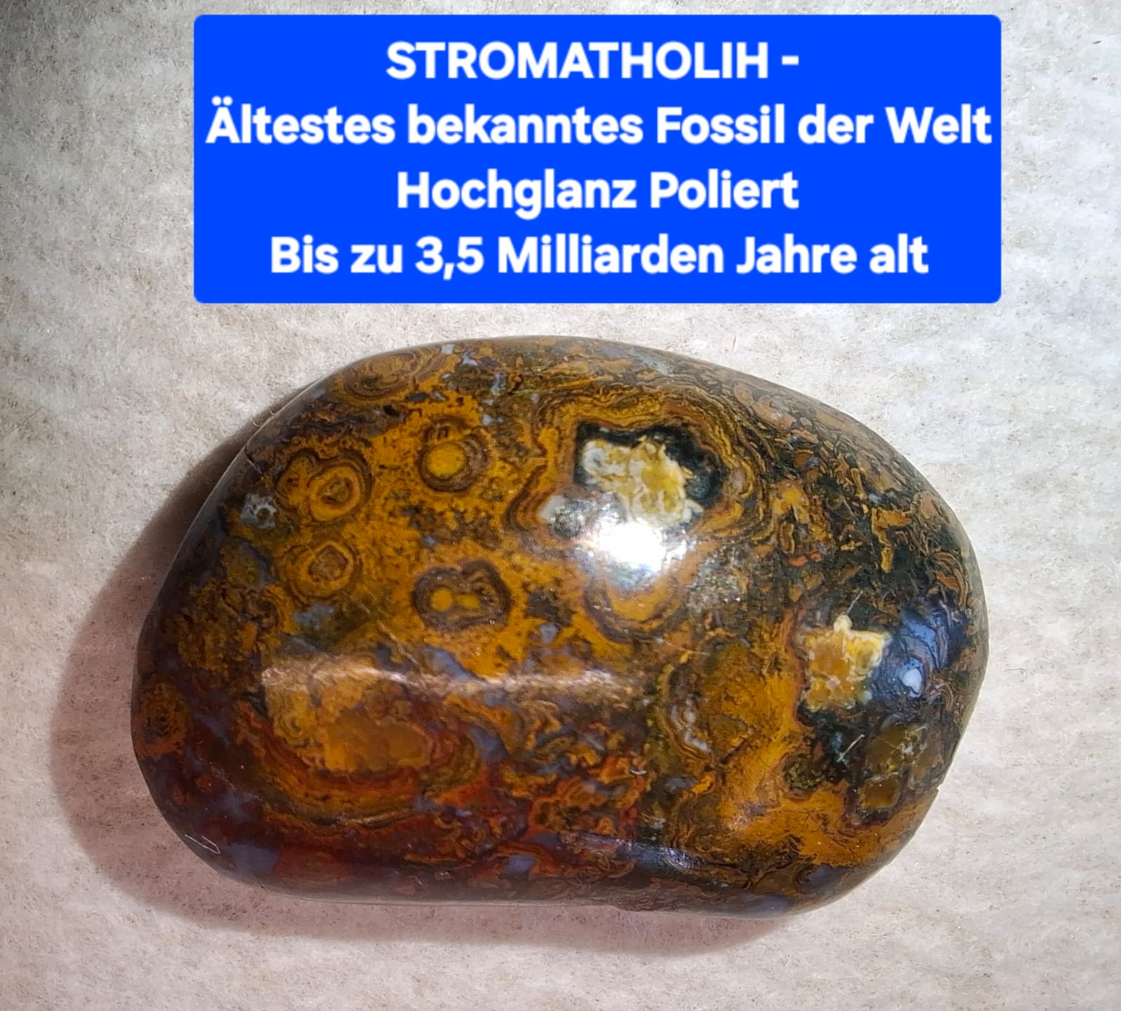 Stromatolith